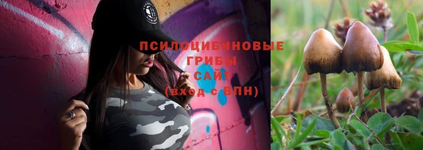 ALPHA-PVP Баксан