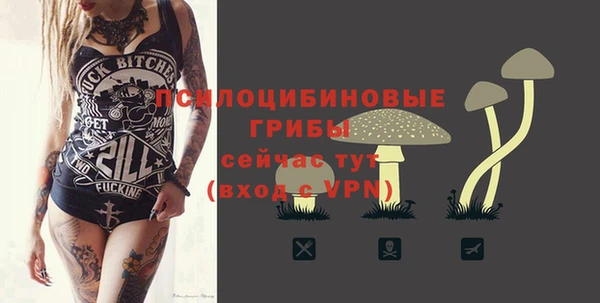 твердый Балахна