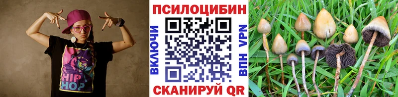 это состав сколько стоит Георгиевск Галлюциногенные грибы GOLDEN TEACHER